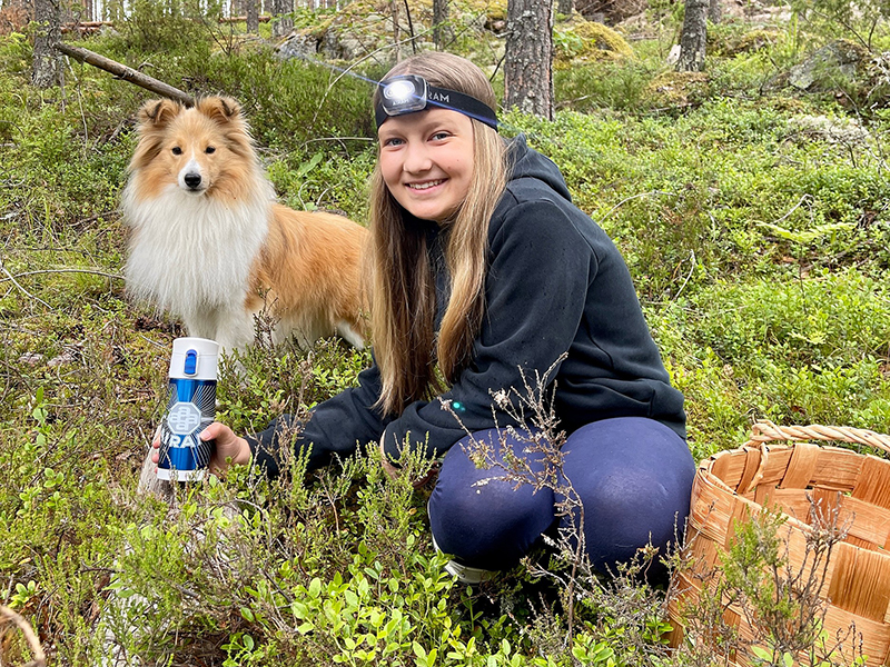 Tyttö kerää sieniä metsässä koira seuranaan
