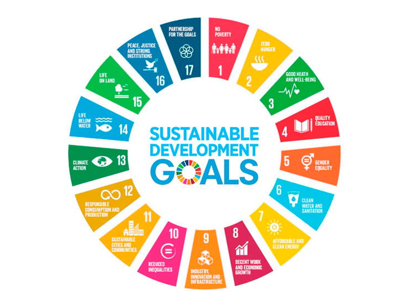 SDG Logo
